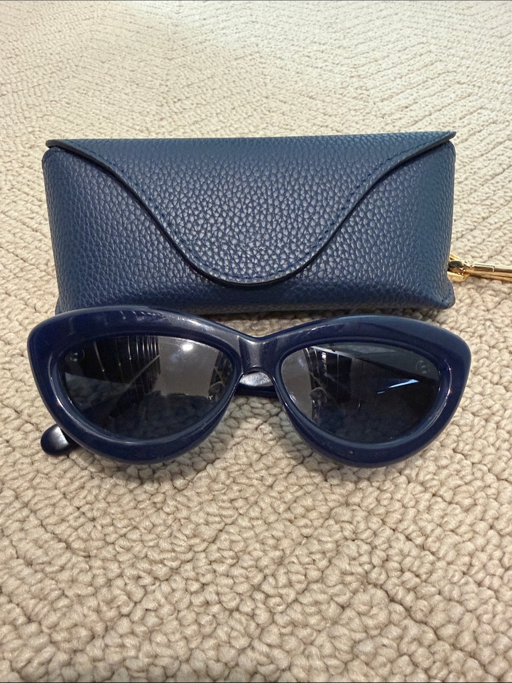Loewe Navy Cat-Eye Sunglasses with Navy Case